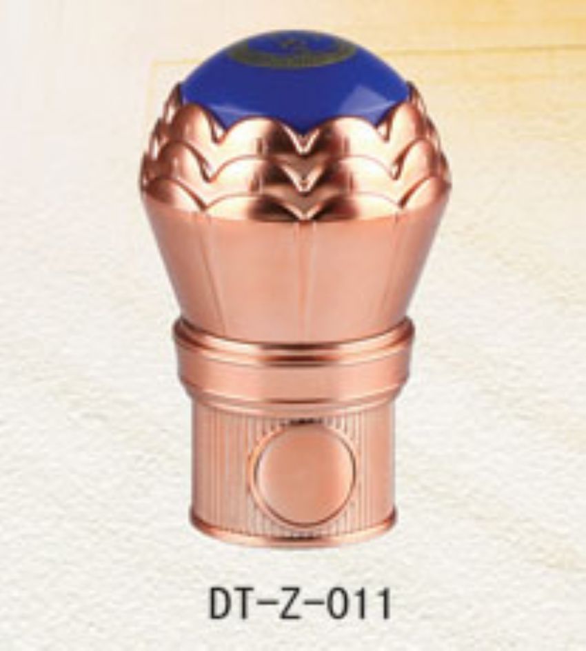 点击查看详细信息<br>标题：DT-Z-011 阅读次数：717
