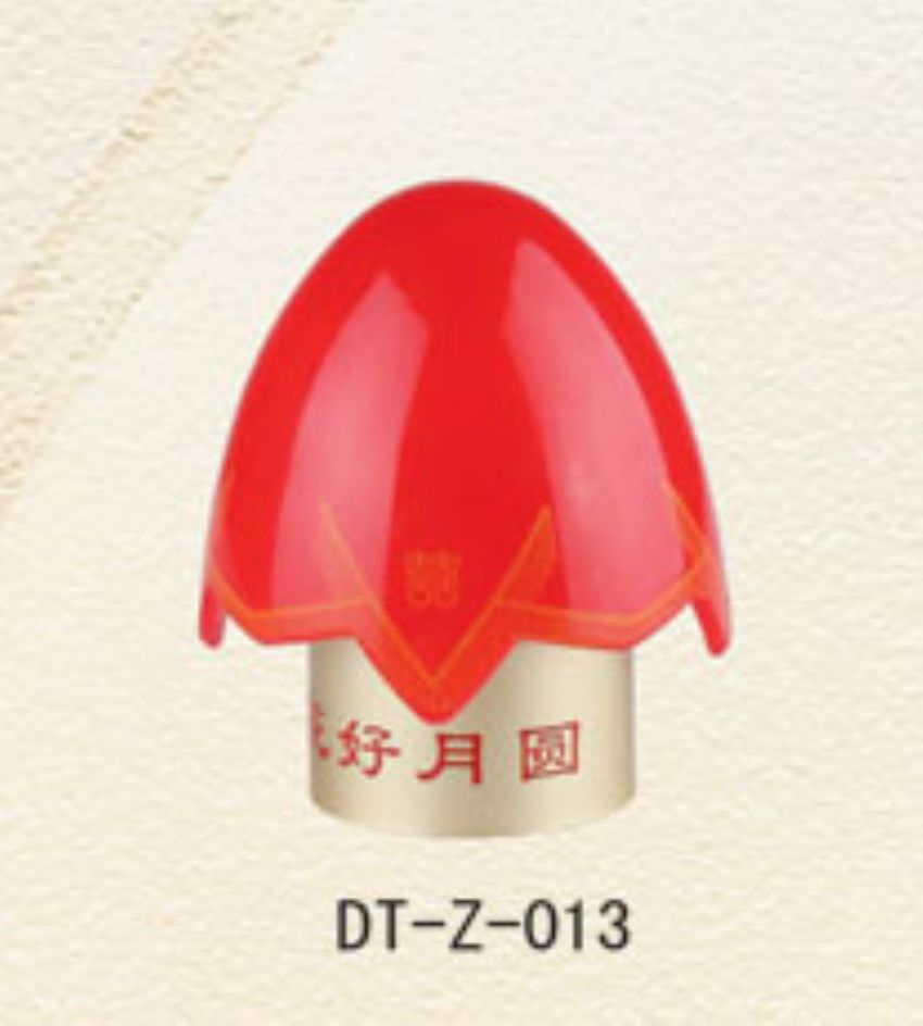 点击查看详细信息<br>标题：DT-Z-013 阅读次数：555