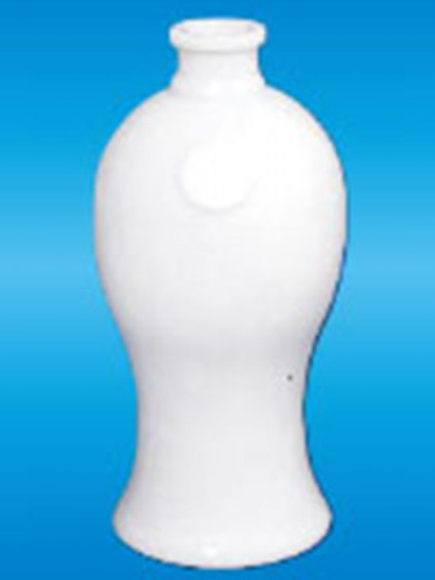 点击查看详细信息<br>标题：ZD-R-088%20500ml 阅读次数：1071